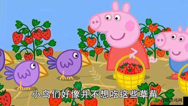 小猪视频草莓视频:精彩内容等你来