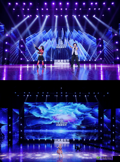 中国小鲜肉 GARY2024:闪耀舞台的未来之星