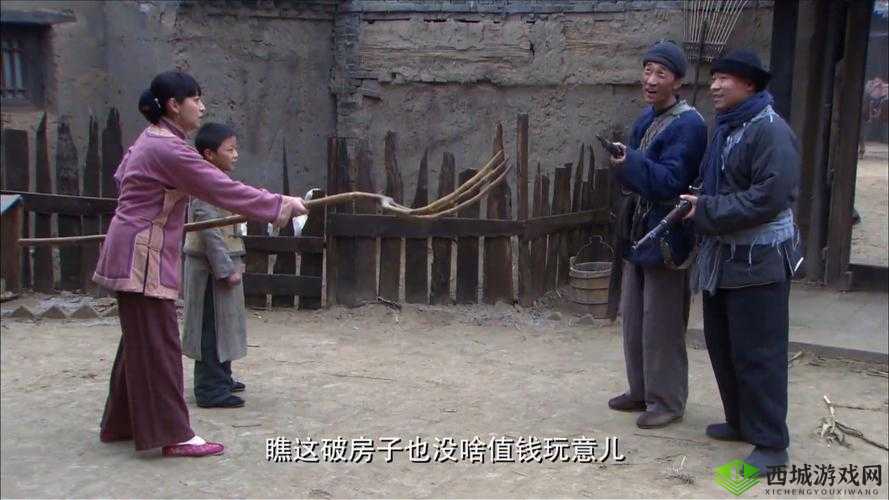 乡村傻子一杆枪闯天下:独特冒险之旅