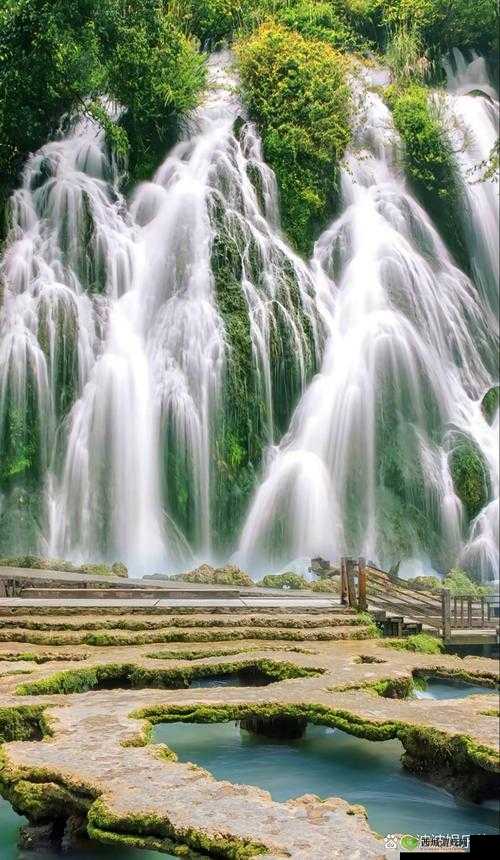 水帘白瀑如饥似渴一丛金黄:自然之美