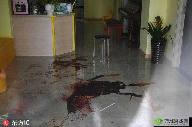 犯罪现场的沉默见证者,血迹勘察的艺术