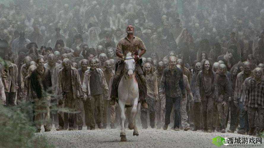 战争的艺术与人性的试炼,以人间地狱为镜