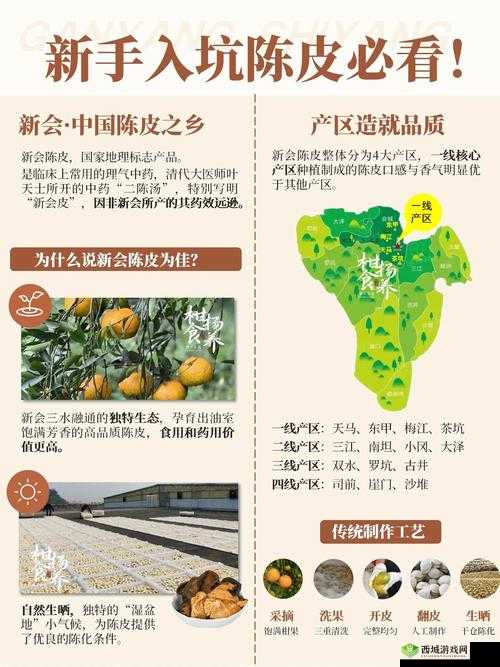 你知道一线产区和二线产区的知名品牌是有多强大吗:解析其优势