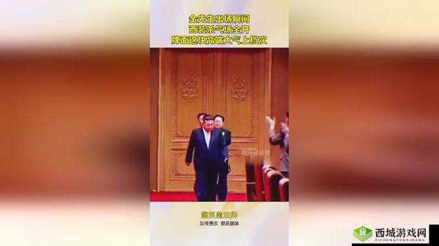 91 金先生:一段引发争议的视频