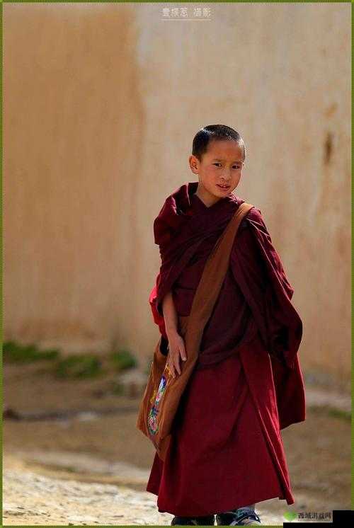 13277 大但人文艺术:探索艺术的无限可能