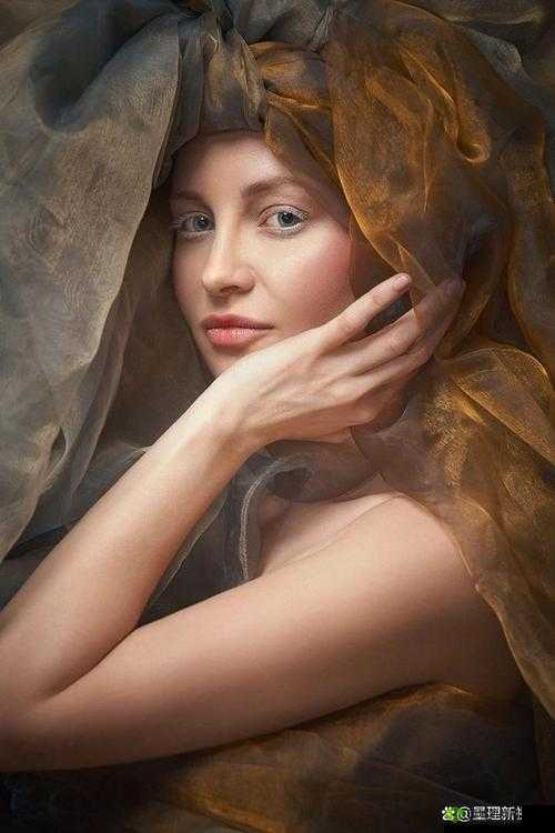 GoGoGo 大胆人文艺术评价:深度探索艺术领域的独特视角