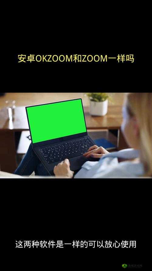 ZOOM 和 OKZOOM 区别:深入探究二者不同之处及应用场景
