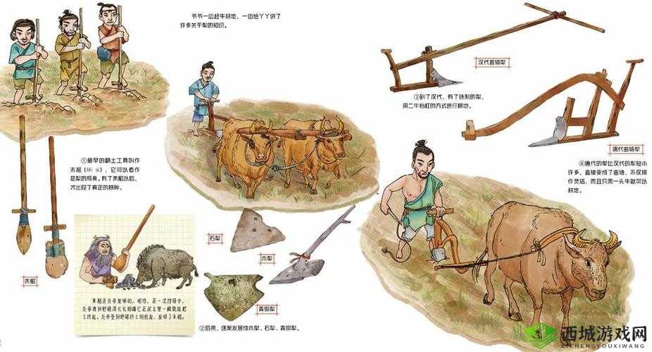 儿子耕种母亲的田地叫什么:传统农耕模式下的家庭传承与责任