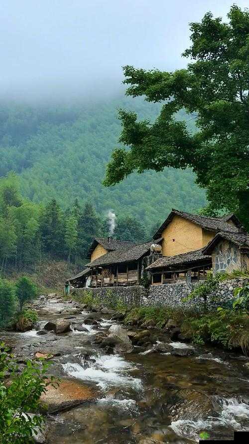 东北山村情事：淳朴民风背后的悲欢离合与真情故事