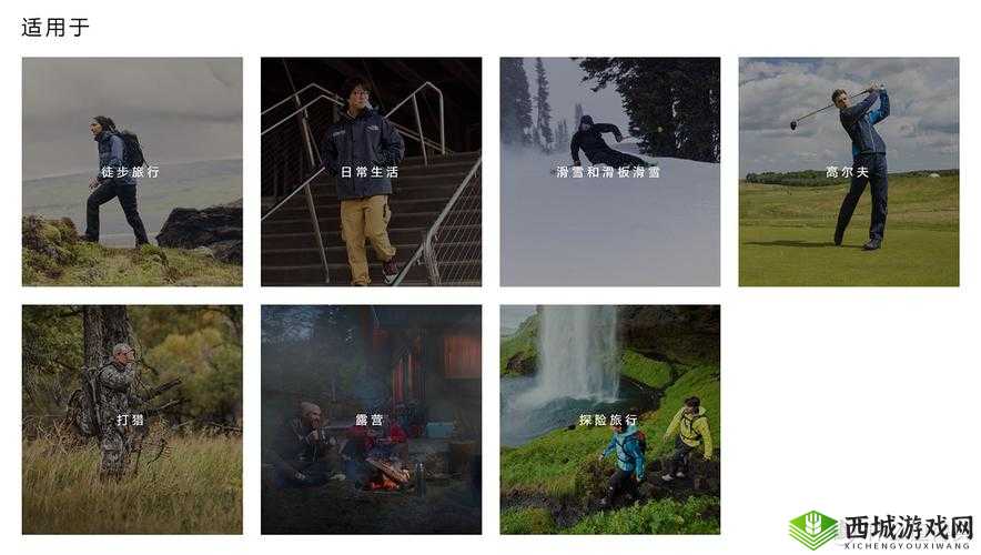 德国大 8BW:探索其独特魅力与卓越性能的奥秘之旅