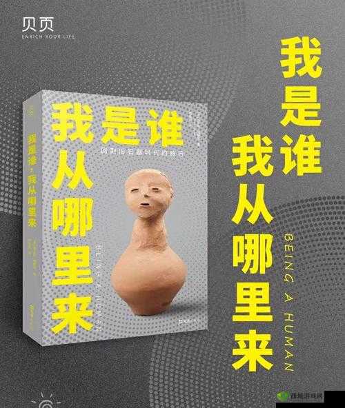 my19777 换哪了:探寻其去向背后的神秘踪迹