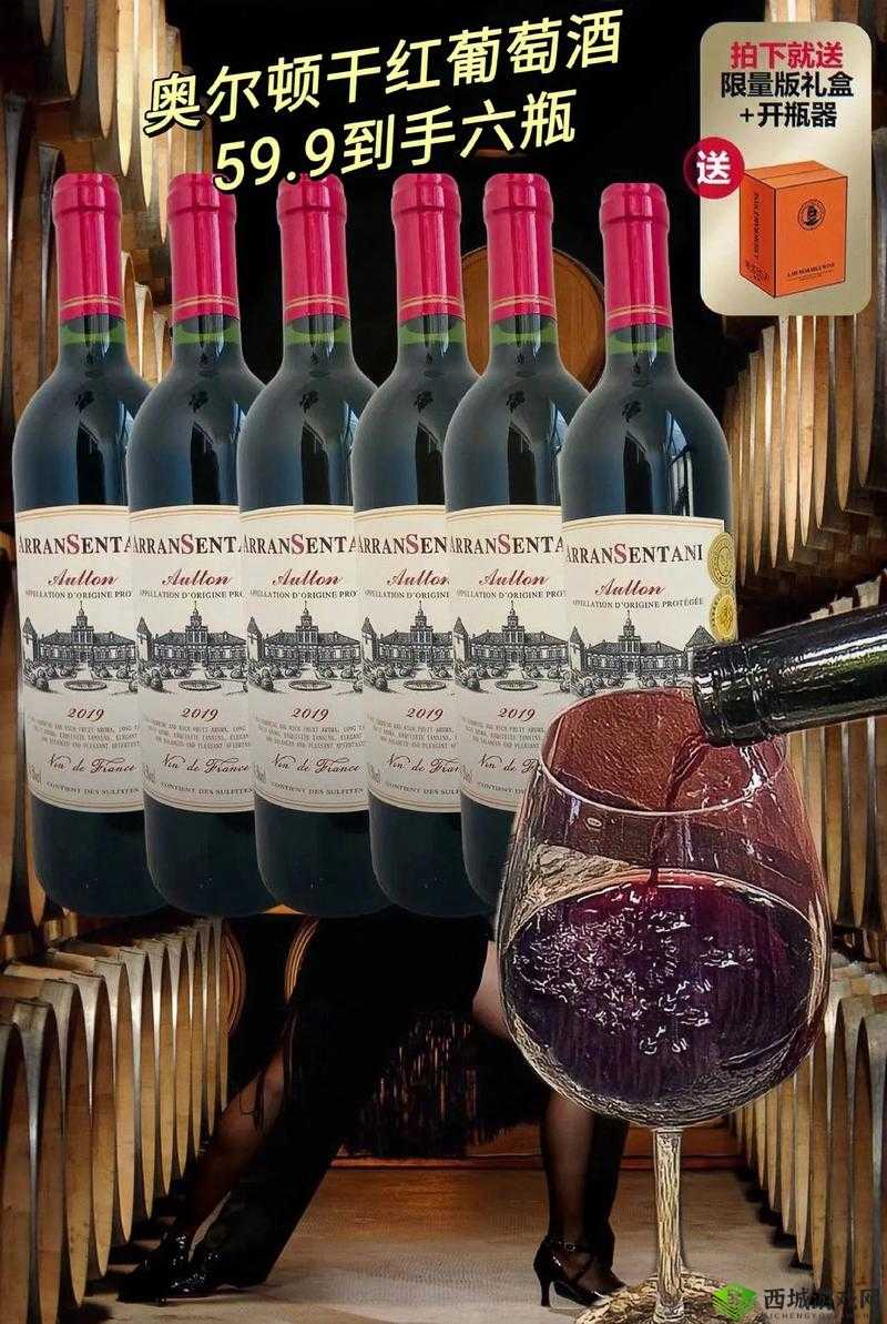 别到红酒了装不下了 1V2 目前无法正常运行:探究背后原因及解决办法