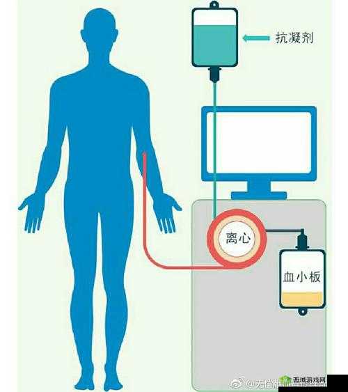 相对湿度HZ下小神J教程出入无限制:详细解析与深度探讨