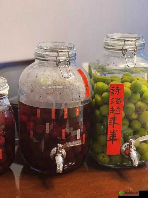 江湖悠悠六级酒材料获取秘籍,解锁酿酒新境界
