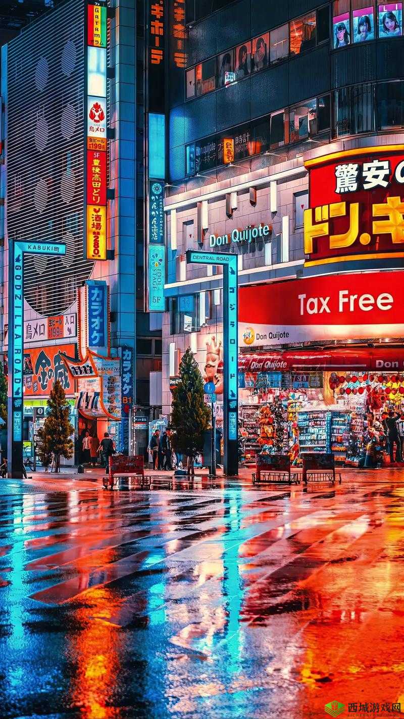 xxhxx 日本 69:一场跨越文化的独特体验