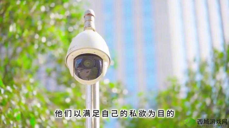 1000 拍拍拍网站视频:窥探人性的一面镜子