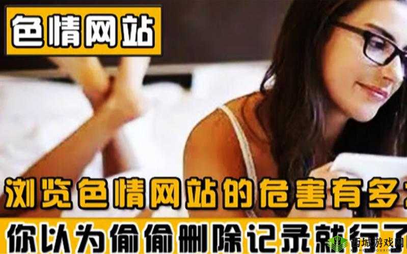 成年人黄色视频网站：探索别样的私密世界
