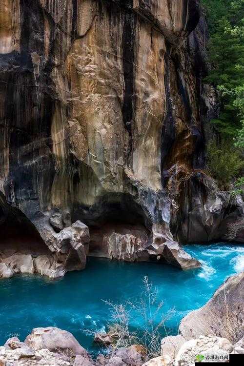 国偷自愉自产产区第 91 区:探索未知的神秘之地