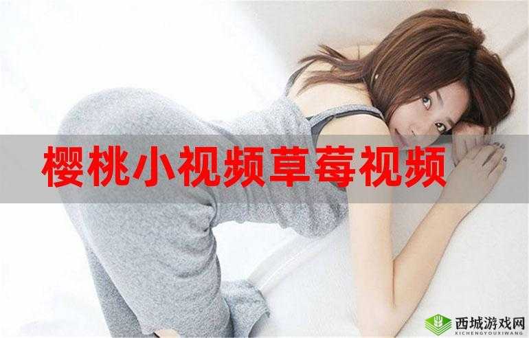草莓视频在线观看 ios 免费：畅享高清影片，无广告打扰