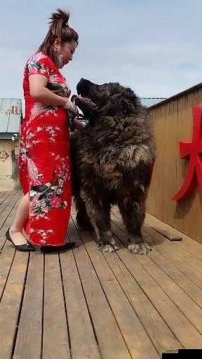 亚洲毛片人与兽精品相关内容不适合宣扬和传播