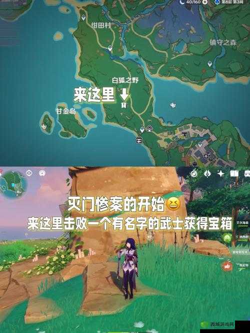 原神恒久之约石壁任务攻略，调查石壁上的灌木叩几下？