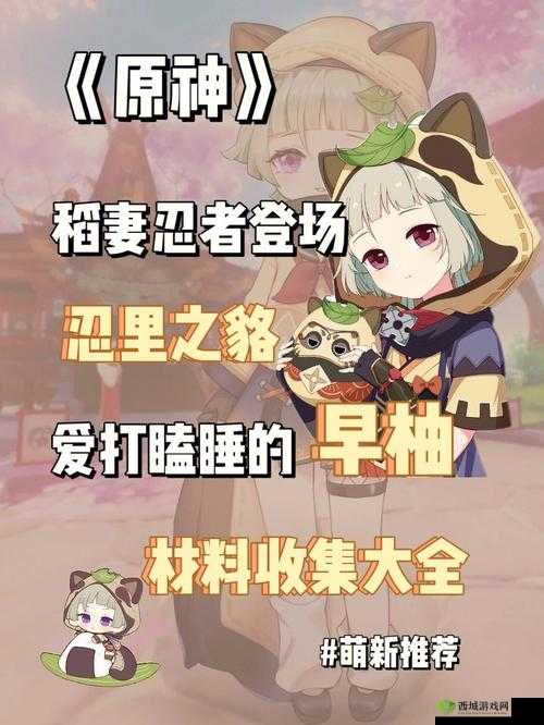 原神于狱中绽放之花任务攻略,高效管理与资源利用的艺术