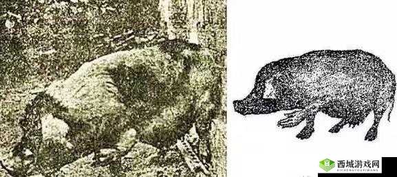 人猪奇特形象:又细又长宛如钻头般的诡异图片