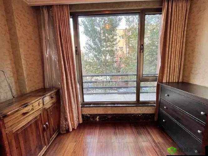 又大又长又租又大的房子叫什么:究竟是怎样的存在