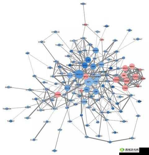 吃瓜网 t7wcc 带你探寻精彩网络世界