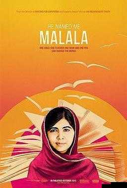 40 岁阿姨荒野大镖客一电影导演:其独特风格与艺术追求解析