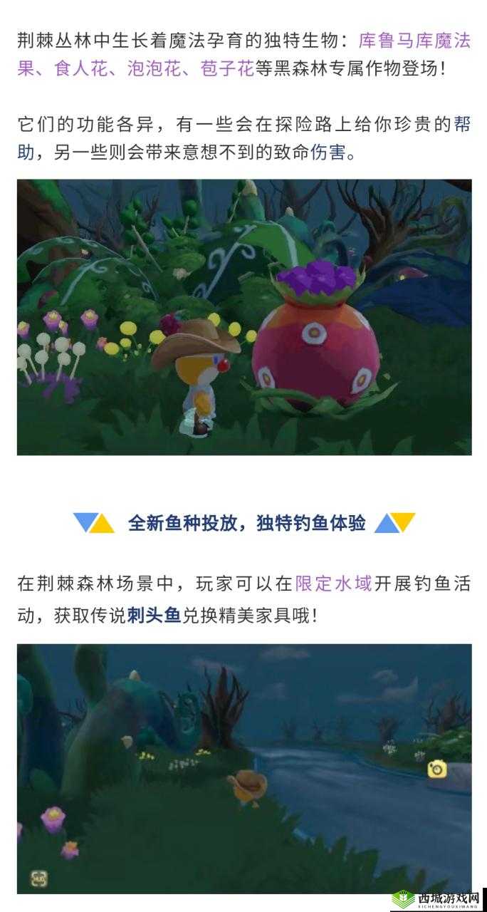 摩尔庄园象鼻鱼获得方法及其资源管理策略