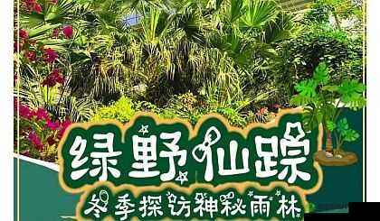 柬埔寨幼稚绿野仙踪www 将迎来全民直播:开启全新互动时代