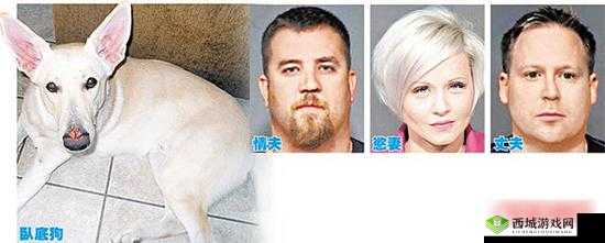 人兽交:挑战伦理与道德的禁忌行为