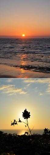 钶钶钶钶钶钶钶免:一个充满独特魅力的存在