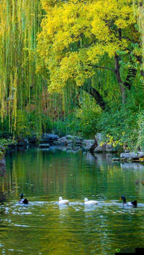 大地资源免费视频观看：带你领略丰富多彩的视频世界