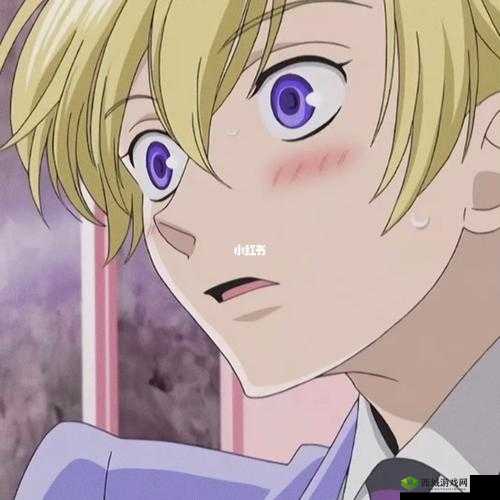 ACCA 少女 SDANVI 大学:这里是梦想开始的地方