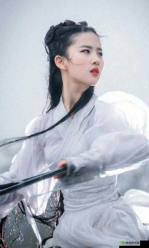 小龙女只感觉那巨大的火龙枪:一段惊心动魄的江湖奇遇