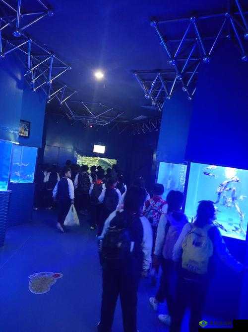 免费伦费一区二区三区四区:探索未知的世界