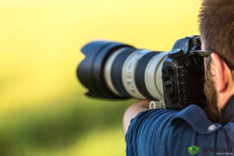 亚欧色视频资源大揭秘:带你领略不一样的世界