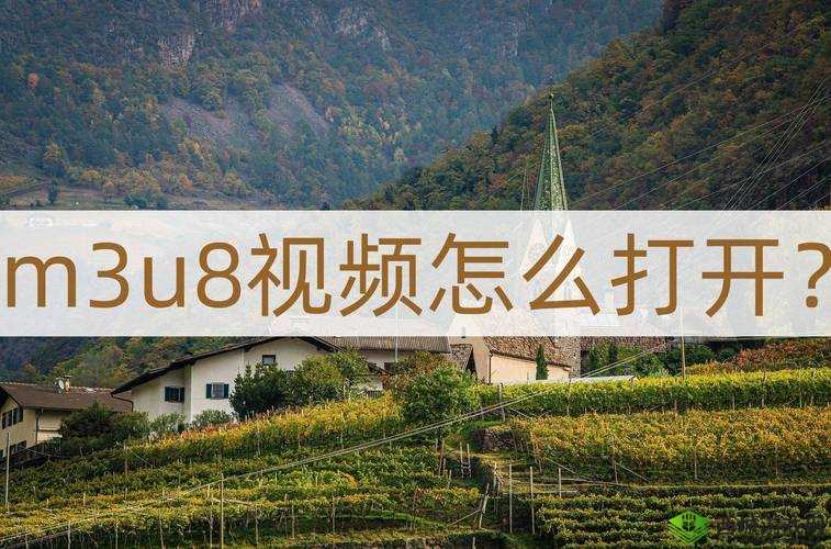 蜜桃视频 m3u8 在线观看:激情无限的视觉盛宴