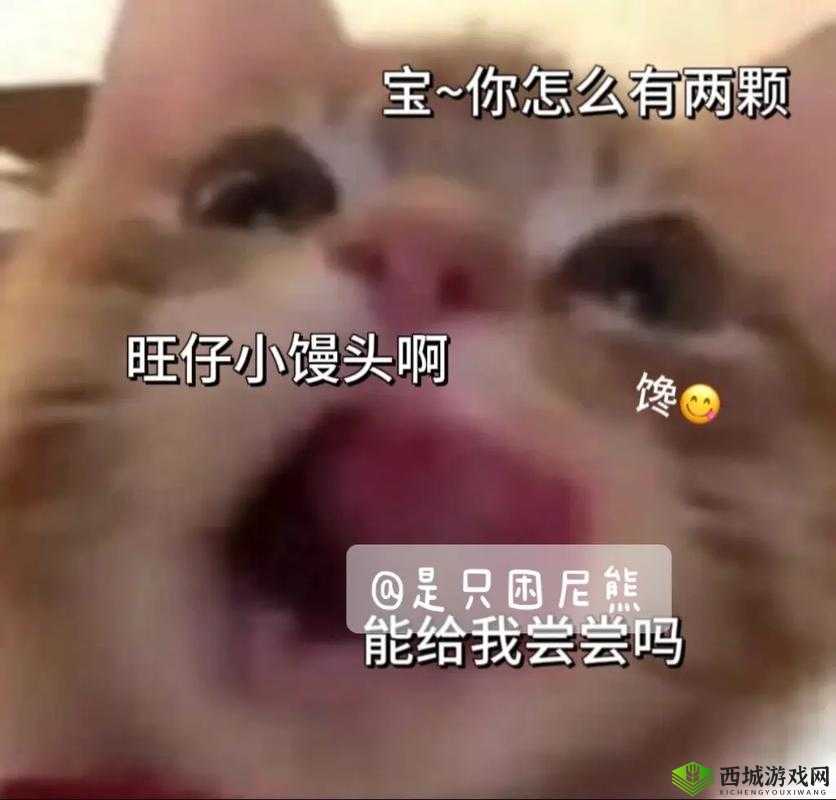 我想吃你的小馒头怎么回复:停止访问了前方高能预警