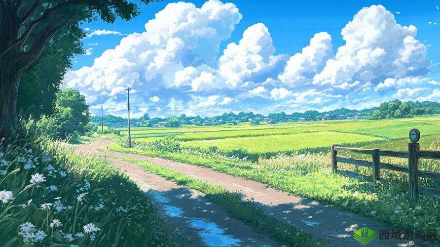 白虹之韵,探索与珍藏的永恒之旅