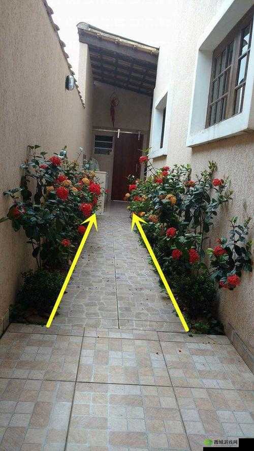 小花园想夹东西怎么办:探寻解决之道