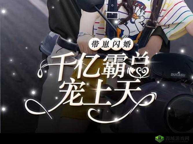 姐姐在上叫过不停:甜宠霸总追妻路漫漫