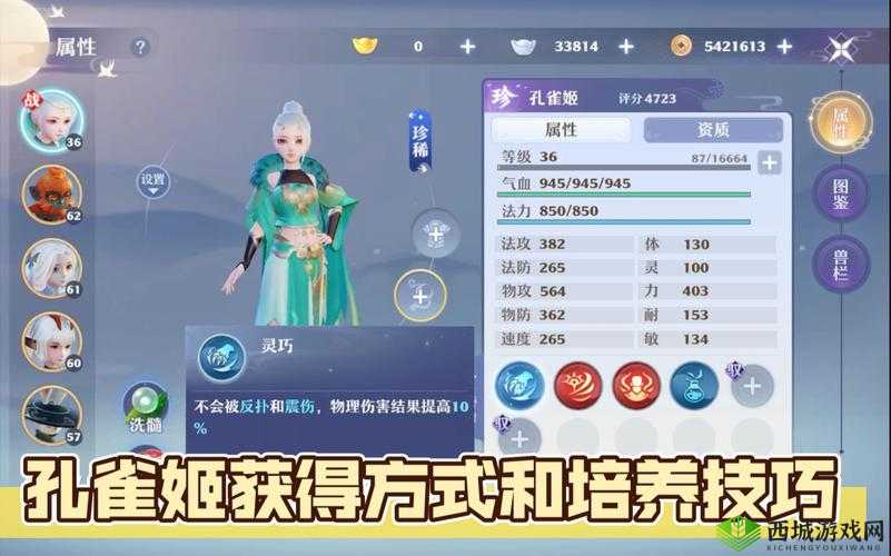 梦幻新诛仙孔雀姬洗练攻略,资源管理、高效技巧与避免浪费