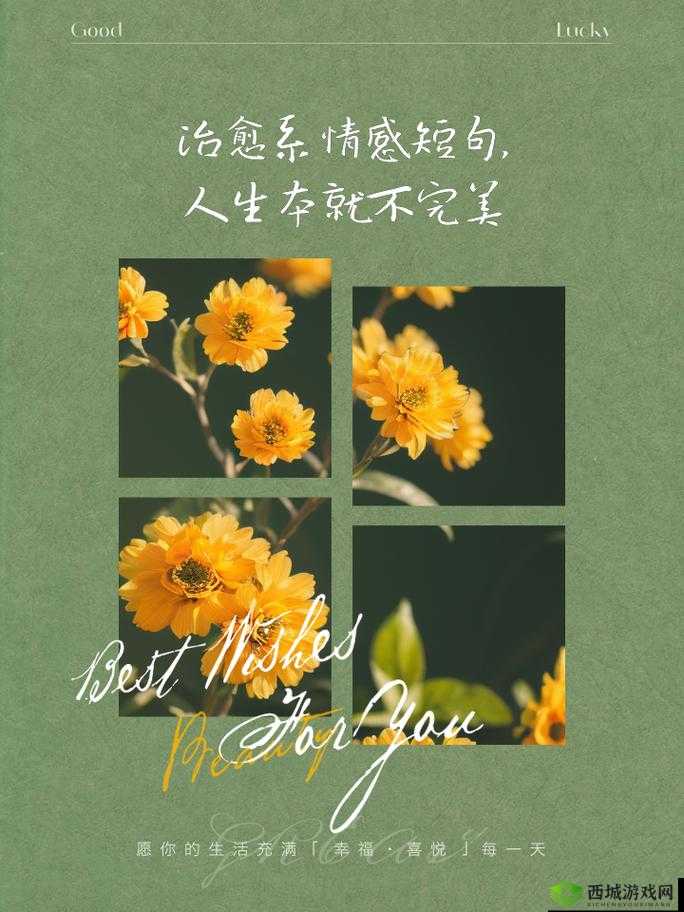 宝贝我不想带小雨伞啦梨花糖:那别样的情感体验