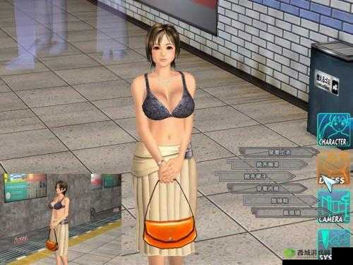 电车之狼 VR 补丁相关新玩法探索