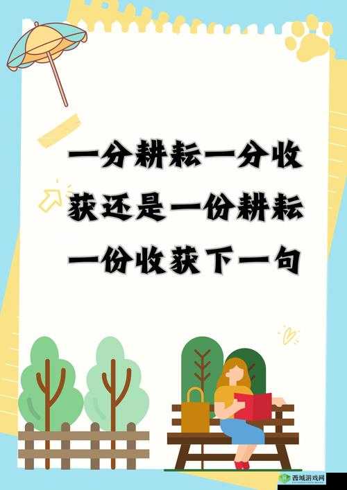 戴 T 和不戴哪个舒服明白:关于这一问题的深入探讨与思考