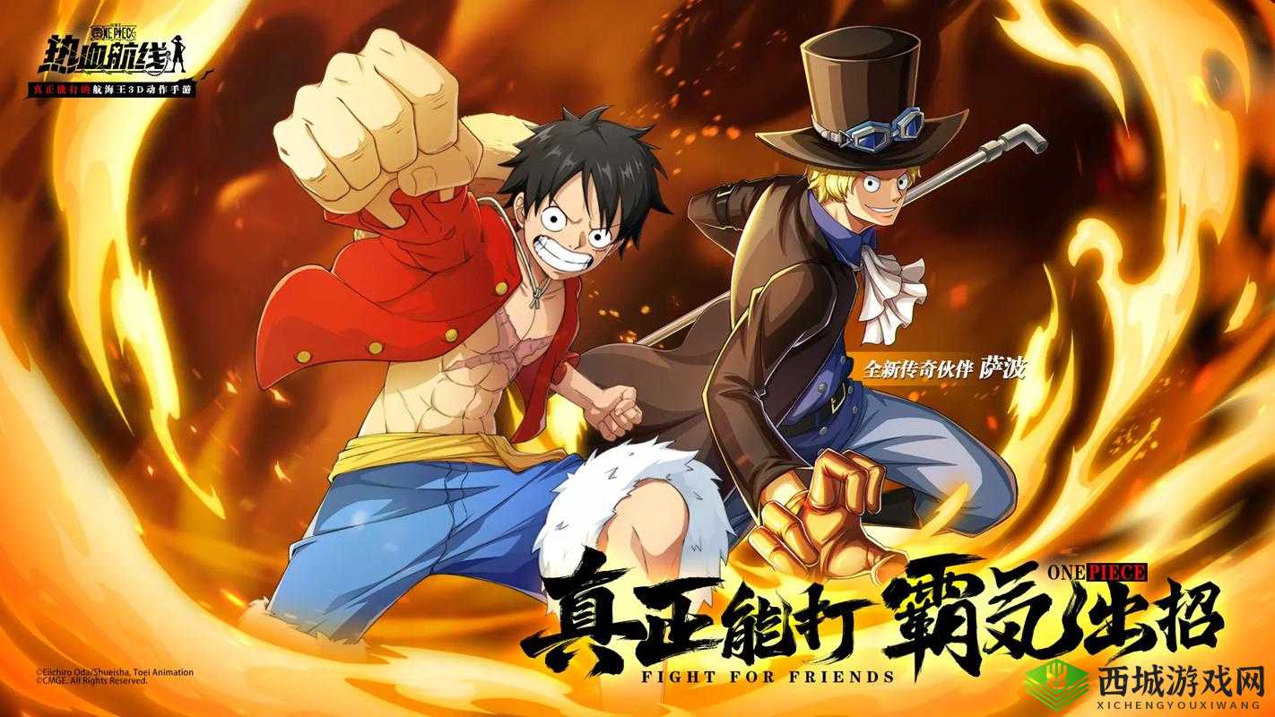 航海王热血航线,探索与挑战的无限魅力