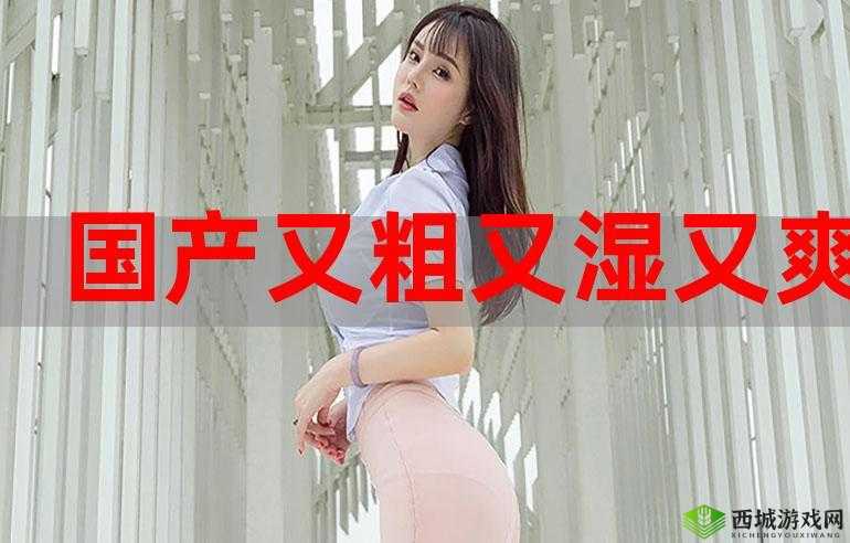 国产又黄又硬又粗:优质内容,你值得拥有